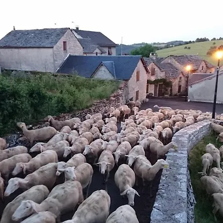 Сasa de vacaciones Maison En Pierre Gorges Du Tarn *